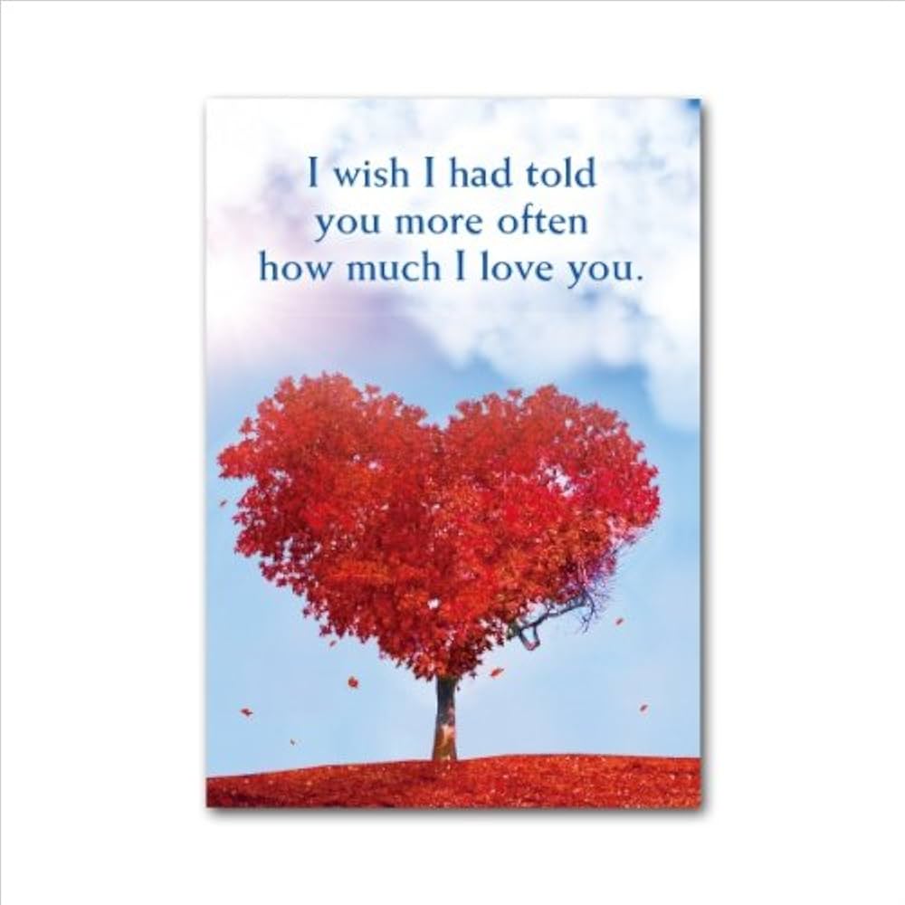 トーキングトゥヘブン ミディアムシップカード日本語版説明書付