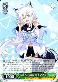 51BtaqGniWL._AC_UF350,