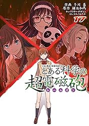 Amazon.co.jp: とある魔術の禁書目録外伝 とある科学の超電磁砲（17