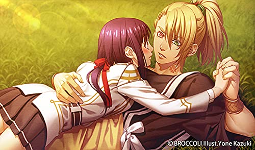 Amazon.co.jp: 神々の悪戯 Unite Edition - Switch : ゲーム