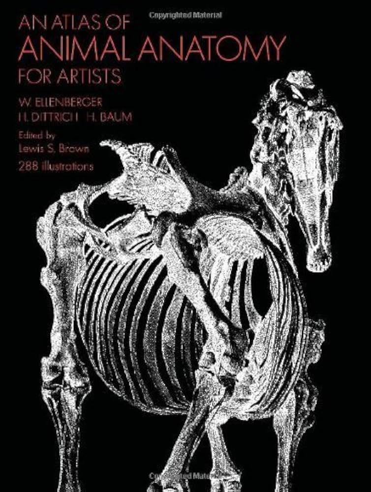 Amazon.fr - An Atlas of Animal Anatomy for Artists (Dover Anatomy