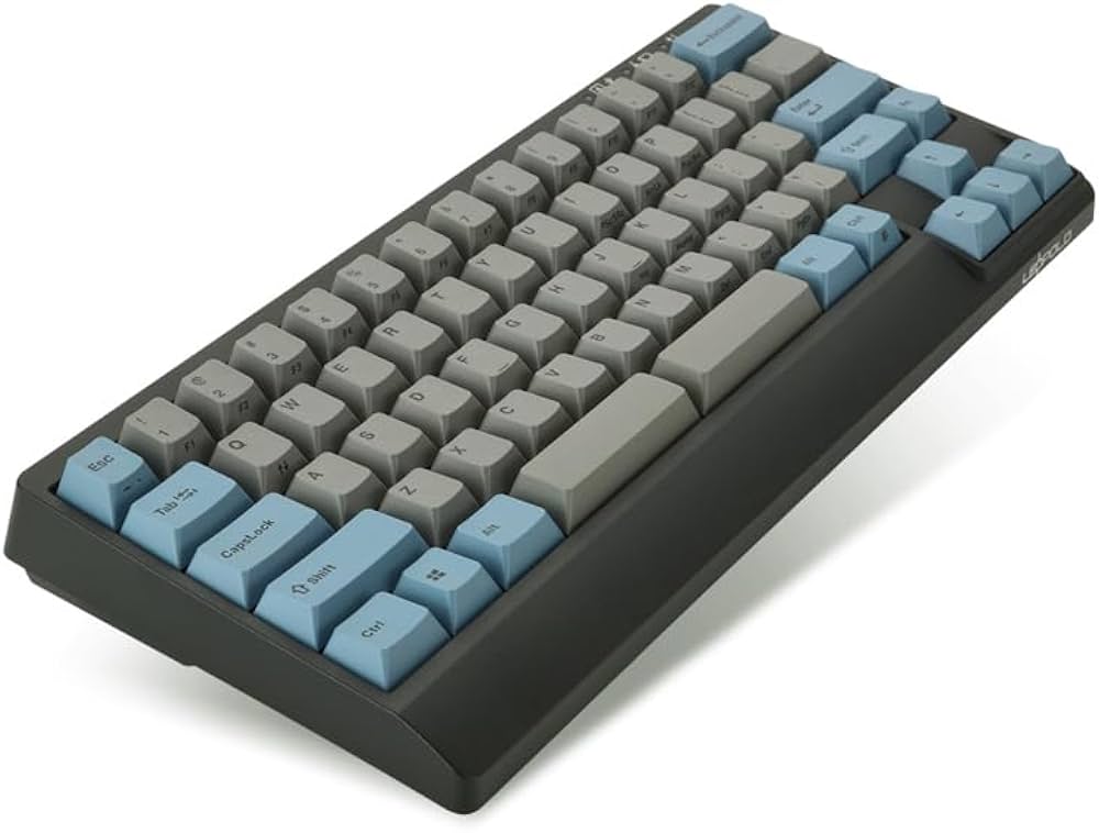 Amazon | Leopold レオポルド FC650MDS GrayBlue 65%メカニカル