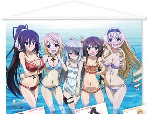 Amazon.co.jp: C84 インフィニット・ストラトス ヒロイン5人描き下ろし