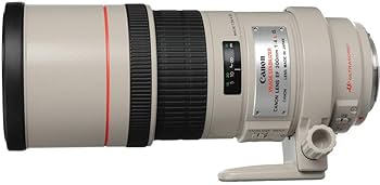 Amazon.com : Canon EF 300mm f/4L IS USM Telephoto Fixed Lens for
