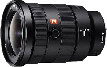 Amazon.co.jp: SONY(ソニー) 広角ズームレンズ フルサイズ FE 16-35mm