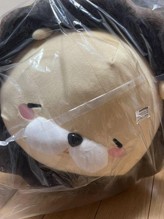 Amazon.co.jp: 夏色まつり Twitterフォロワー50万人記念 えびふ