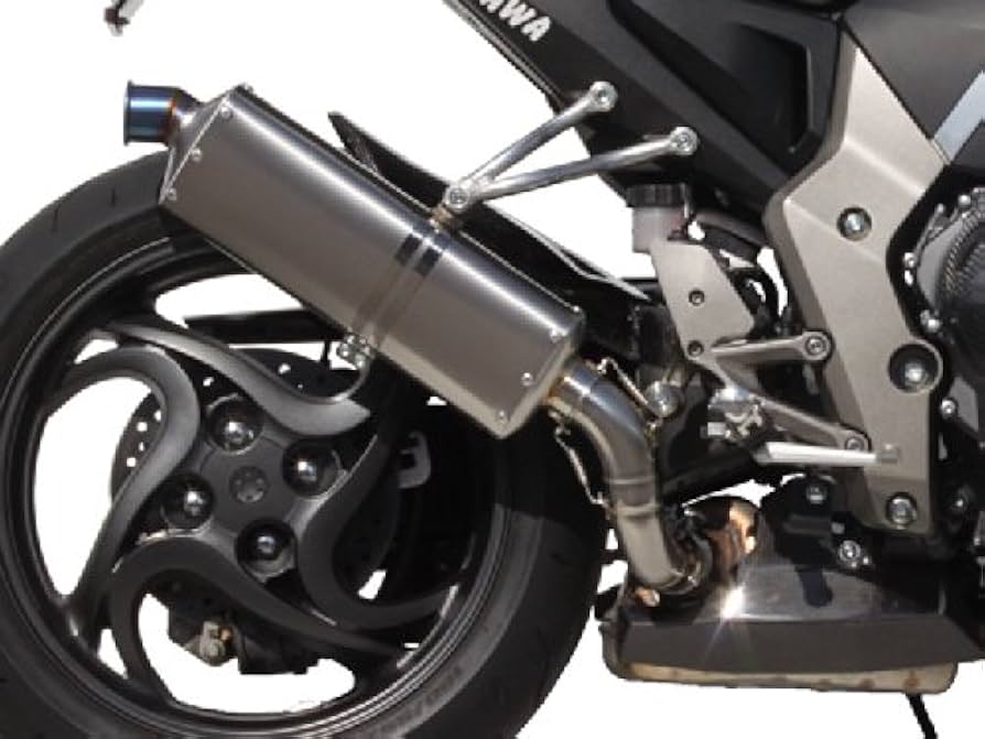 Amazon | ティーエスアール(TSR) スリップオンマフラー TS01