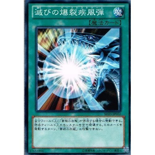 Amazon.co.jp: 【 遊戯王】 滅びの爆裂疾風弾 ノーマル《 青眼龍轟臨