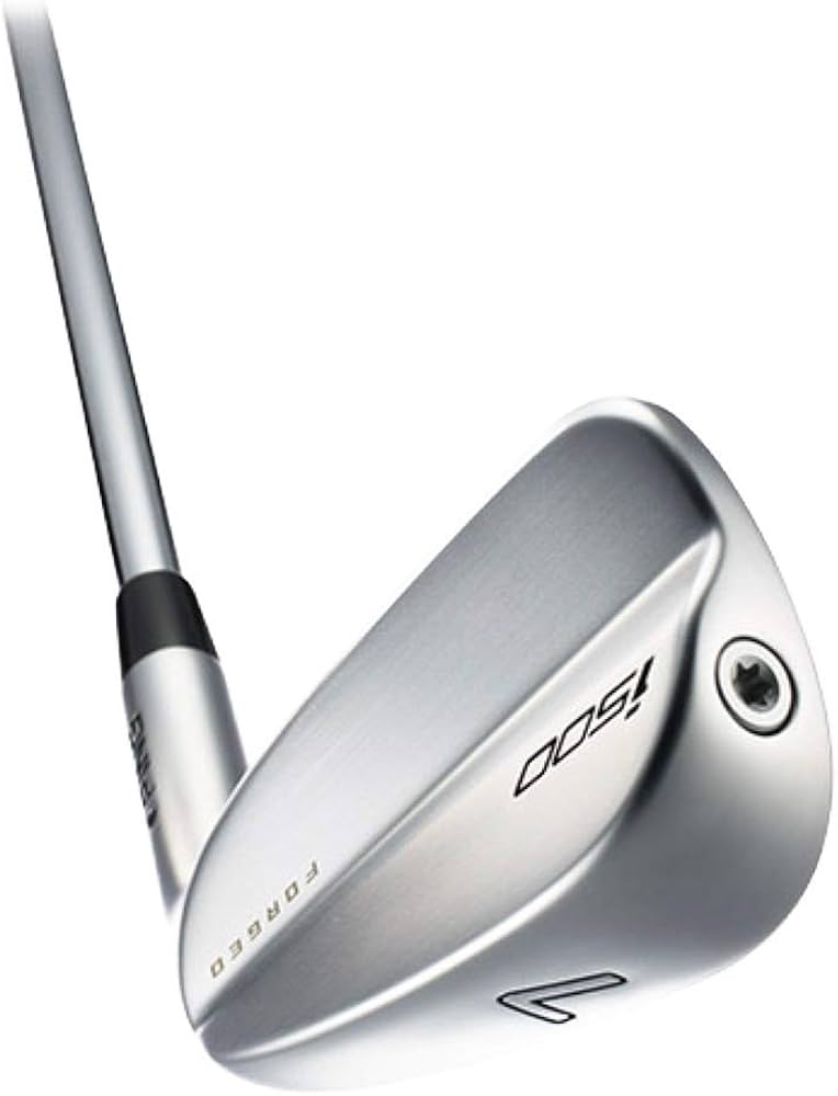 Amazon.co.jp: PING(ピン) 2018 i500 アイアン（5本セット） NSPRO