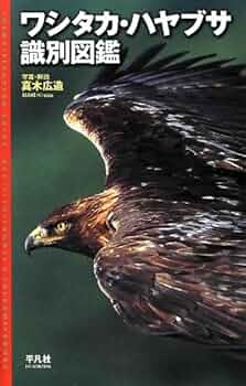 51FTR3N3+zL._AC_UF350,