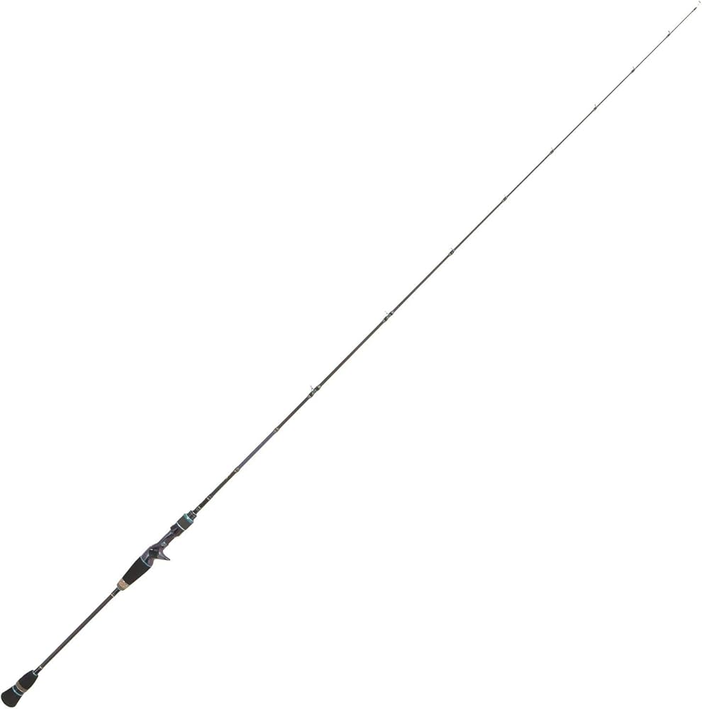 Amazon | AbuGarcia (アブガルシア) ソルティーステージKR-X スーパー