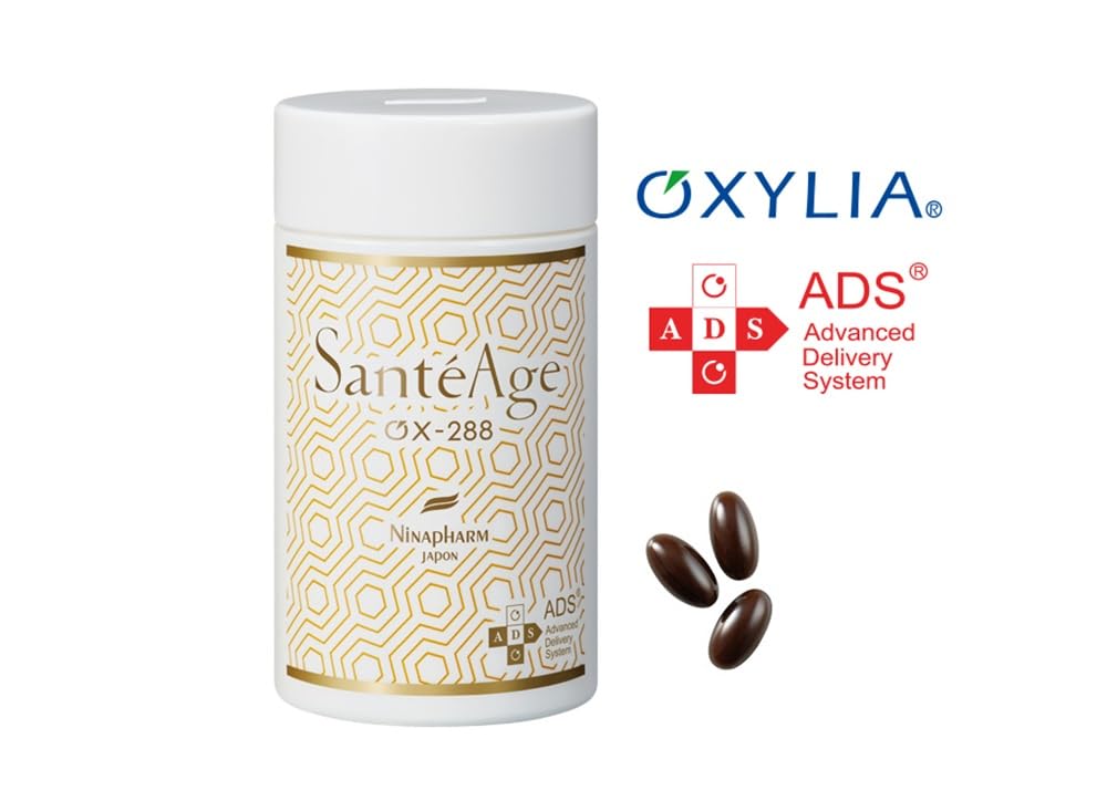 Amazon.co.jp: サンテアージュ OX-288 : ファッション