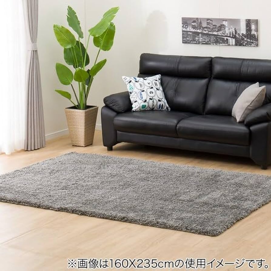 Amazon｜ニトリ(NITORI) アクセントラグ Nジーク GY 200X285 7232805