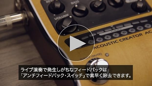 Amazon.co.jp: ZOOM ズーム AC-2 アコースティックギター用プリアンプ