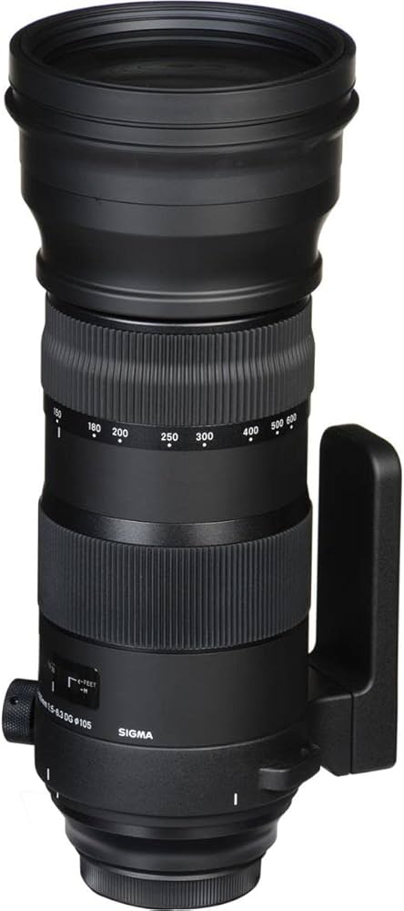 Amazon.co.jp: SIGMA 150-600mm F5-6.3 DG OS HSM | Sports S014