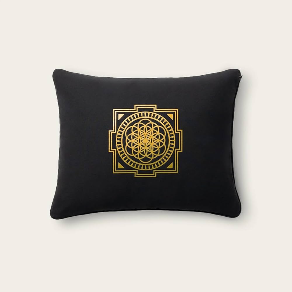 Amazon.com: ShaktiMat Premium Acupressure Pillow, Level 3 in