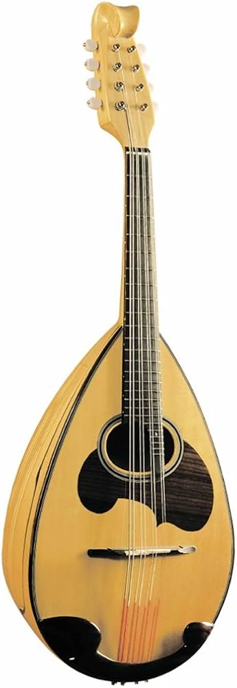 Amazon | 鈴木 マンドラ MD-10 | マンドリン | 楽器・音響機器