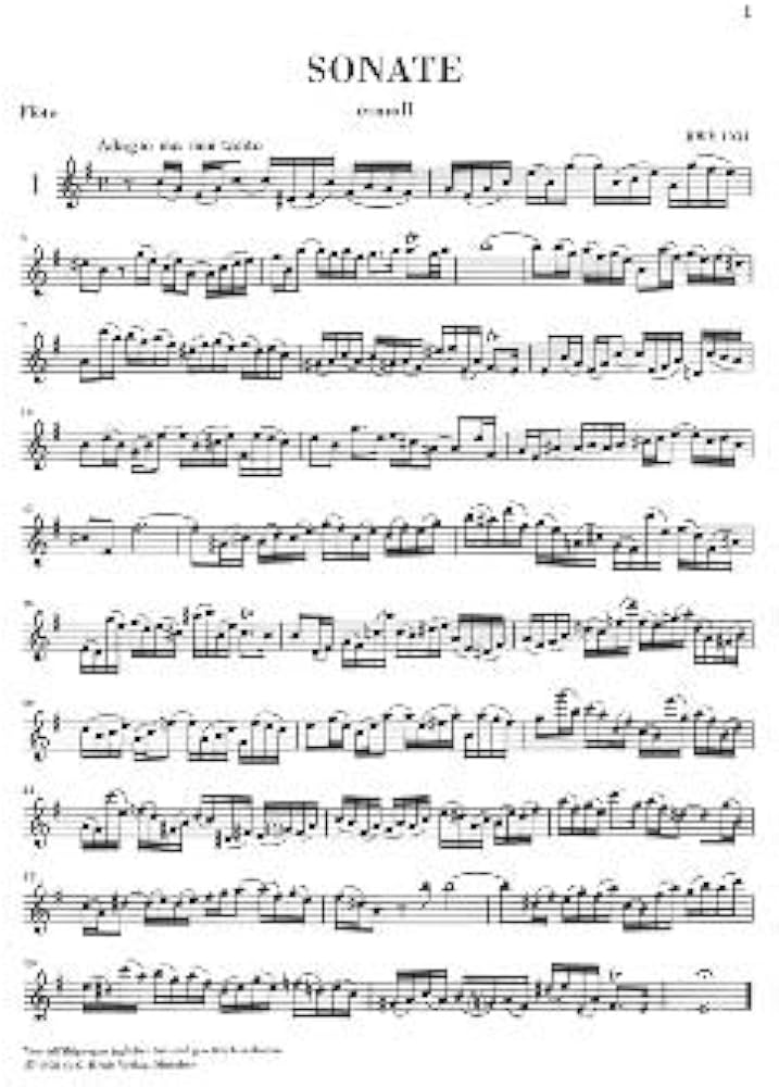 51JRZHoaXzL._AC_UF1000,