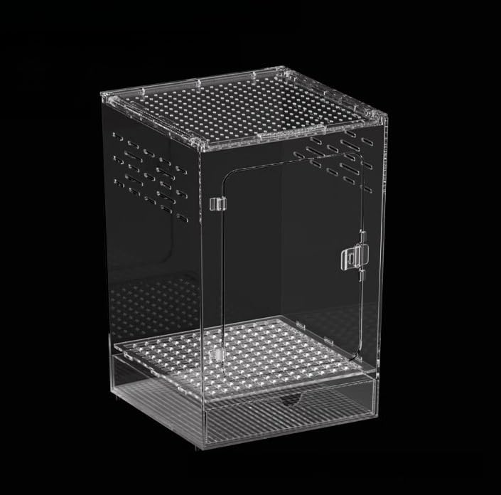 Amazon | Raineed 爬虫類 ケージ トカゲ 飼育セット カエル 水槽