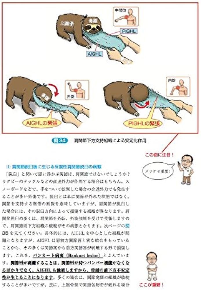 林典雄の運動器疾患の機能解剖学に基づく評価と解釈 上肢編 (運動と