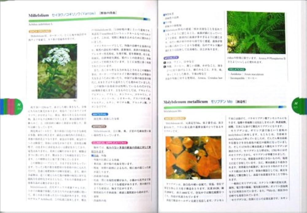 ホメオパシー マテリアメディカ | 森井啓二 |本 | 通販 | Amazon