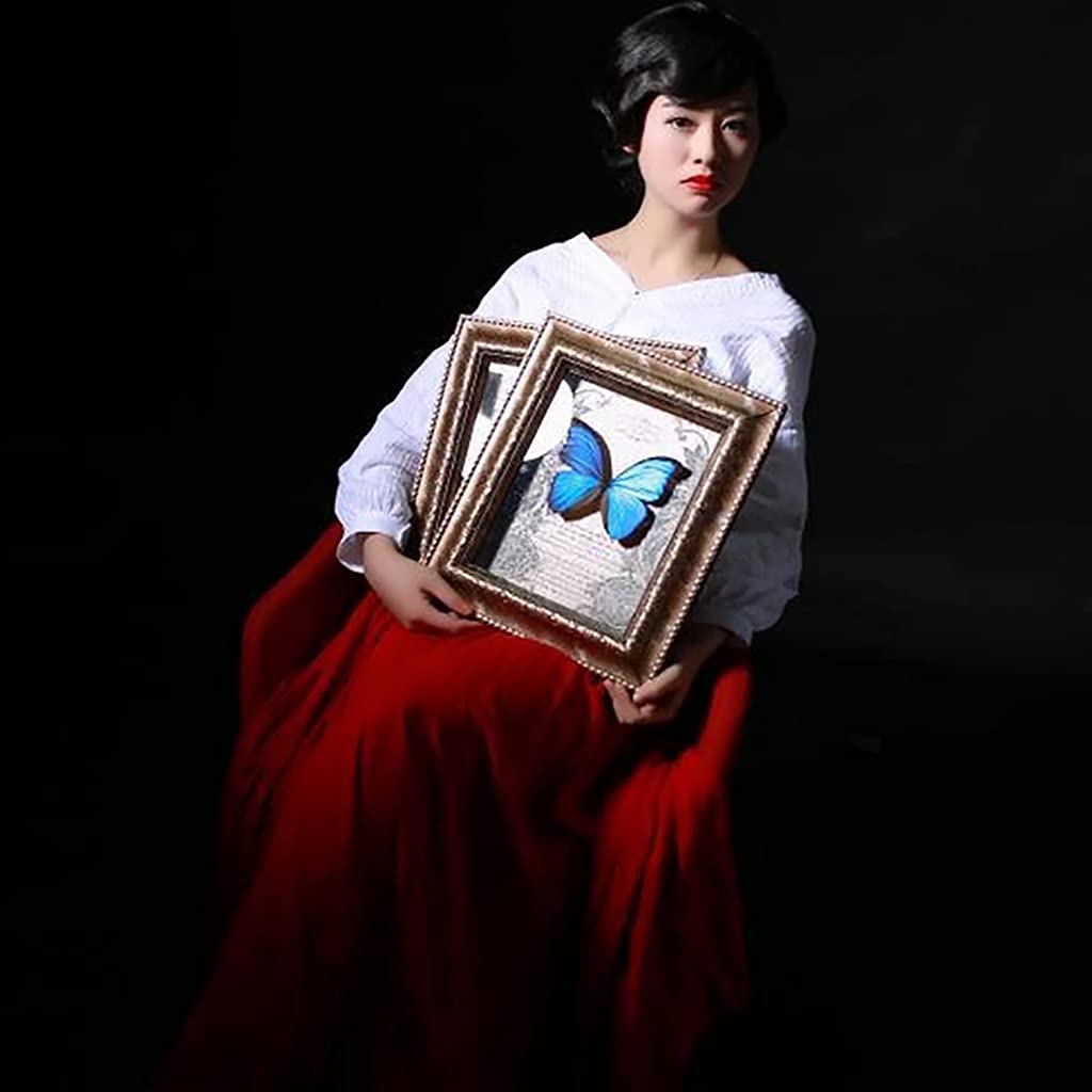 Amazon.co.jp: ジャイアントブルーモルフォ蝶標本、本物の