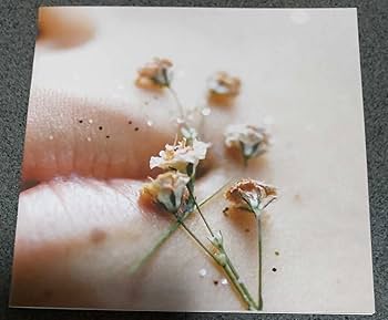 Amazon.co.jp: 【レア、美品】 カネコアヤノ 祝祭 サイン入り CD