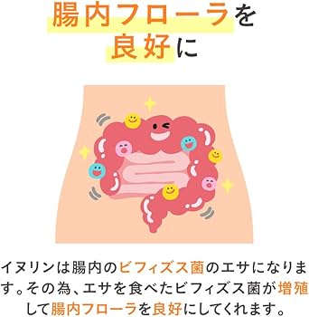 Amazon | LOHAStyle(ロハスタイル) イヌリン 顆粒 500g 機能性表示食品