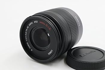 Amazon.com : Panasonic Micro Four Thirds 14-42mm Zoom Lens (35mm