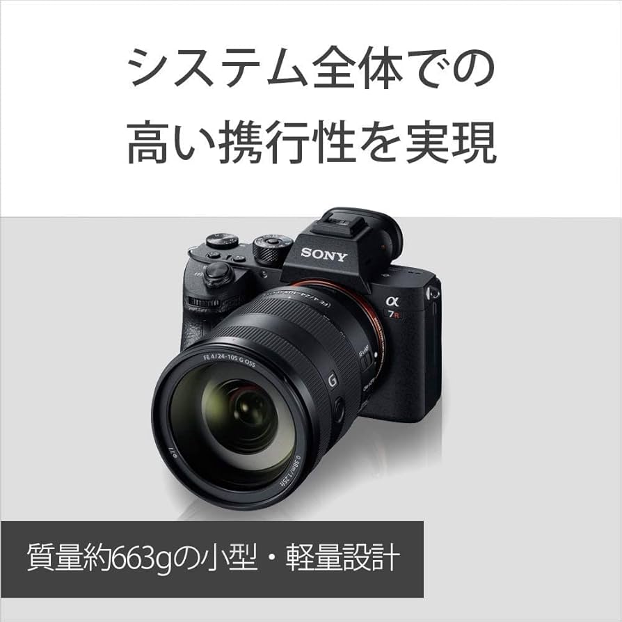 Amazon.co.jp: SONY(ソニー) 【レンズ と 純正プロテクター セット