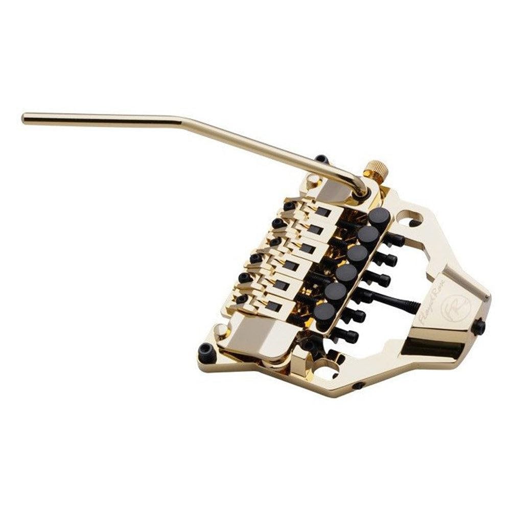 Amazon.com: Floyd Rose FRX Tremolo System - Gold : Musical Instruments