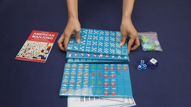 Amazon.com: Jongyance American Mahjong Tile Set with Carrying Bag