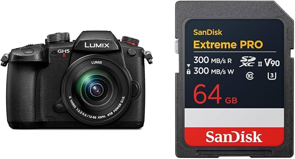 Amazon | パナソニック(Panasonic) ミラーレス一眼カメラ ルミックス