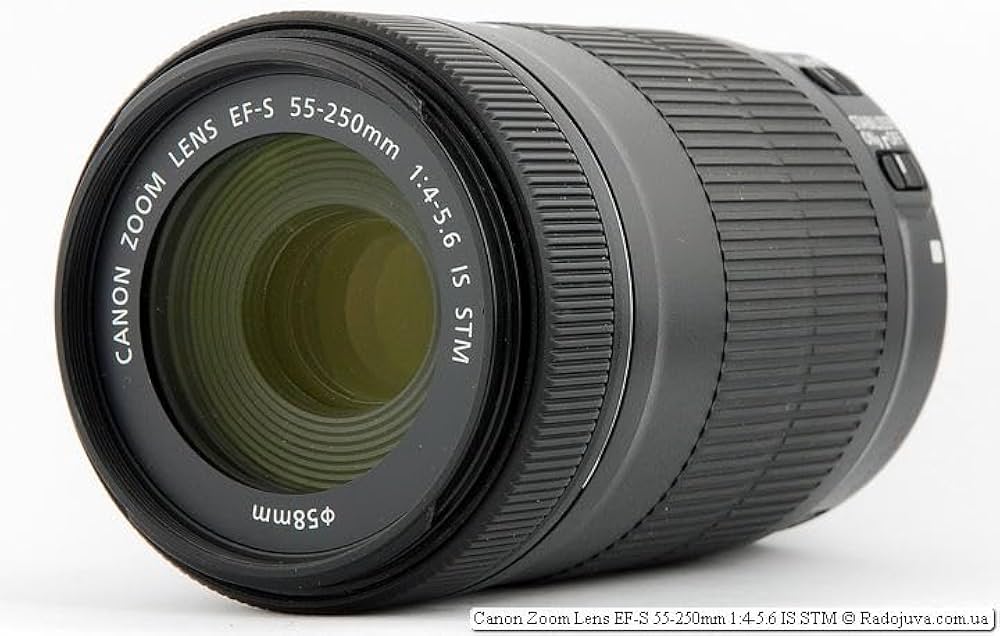 EF-S 55-250mm f/4-5.6 is STM Telephoto Zoom Lens for Canon 1500D