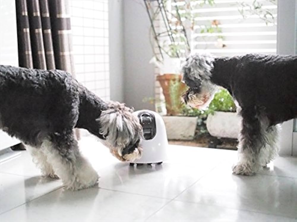 Amazon.co.jp: ilbo 移動式 お留守番 ネットワークカメラ 遠隔操作で