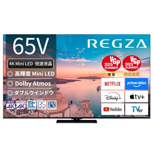 有機ELテレビ レグザ 液晶テレビ テレビ65インチ」の人気商品一覧