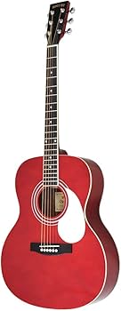 Amazon | HONEY BEE ハニービー アコースティックギター フォーク