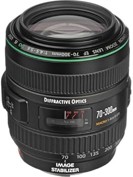 Amazon.com : Used Canon 70-300mm F4-5.6 is USM EF DO : Camera