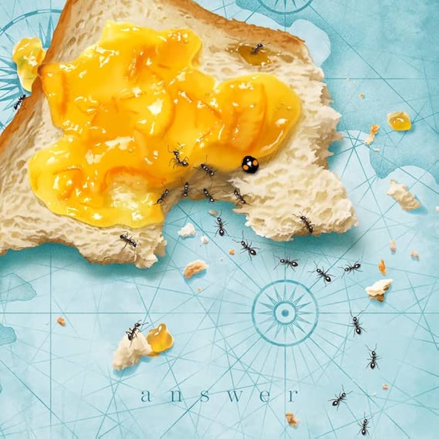 Amazon.co.jp: answer(初回生産限定盤)(CD+DVD) - おいしくる