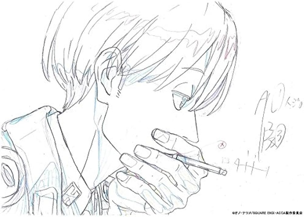 Amazon.co.jp: ACCA13区監察課 ビジュアルブック : 本