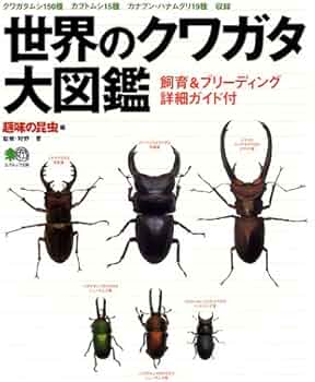 51SDQ27FH3L._AC_UF350,