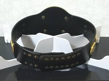 Amazon.co.jp: 新日本プロレス IWGP 2/5スケールレプリカ初代