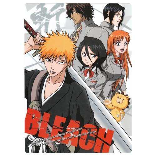 Amazon.co.jp: BLEACH-ブリーチ- 下敷き / 黒崎一護＆朽木ルキア＆コン