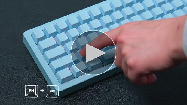 Amazon.com: EPOMAKER Tide65 QMK/VIA Wireless Gaming Keyboard, 65