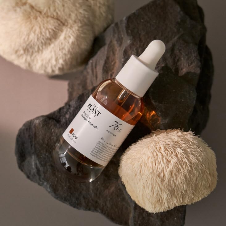 Amazon.com: Time Stop Collagen Ampoule Mushroom Extract 30ml