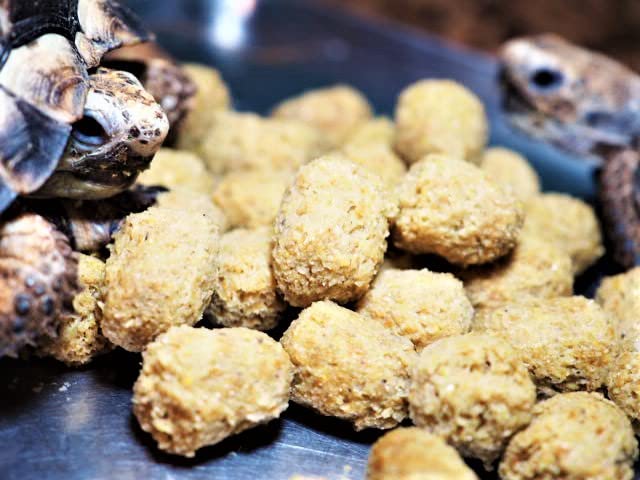 Amazon | 【マズリ社】トータスダイエット 5M21 3000g リクガメ フード