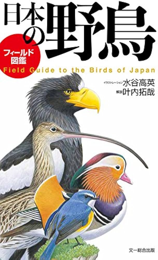 フィールド図鑑 日本の野鳥 | 叶内 拓哉, 水谷 高英 |本 | 通販 | Amazon