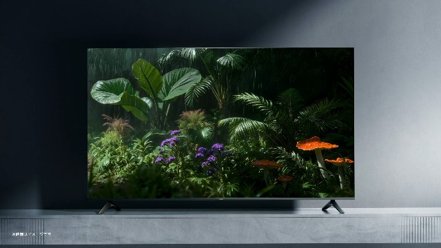 Amazon | シャオミ(Xiaomi) チューナーレステレビ 55インチ 4K 液晶