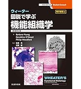 分子細胞免疫学 原著第10版 アバス-リックマン-ピレ | Abul K. Abbas