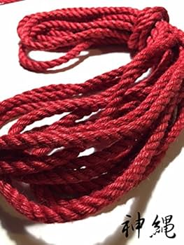 51VK8WSPnGL._AC_UF350,